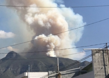 Detienen a 5 por provocar incendio forestal
