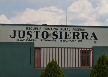 Abejas atacaron a niño en silla de ruedas en escuela; nadie lo ayudó