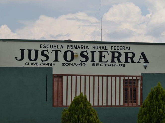 Abejas atacaron a niño en silla de ruedas en escuela; nadie lo ayudó