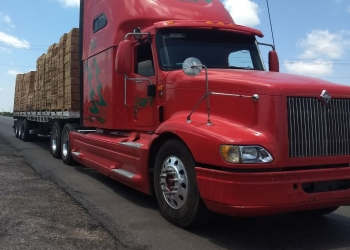 Aseguran trailer con madera de pino