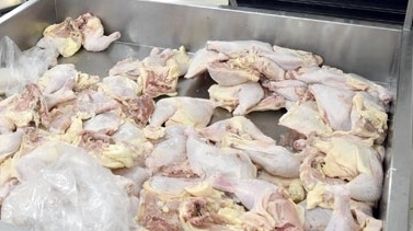 Cierran importación de pollo