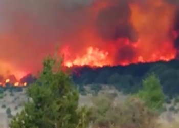 Arde la sierra de Arteaga