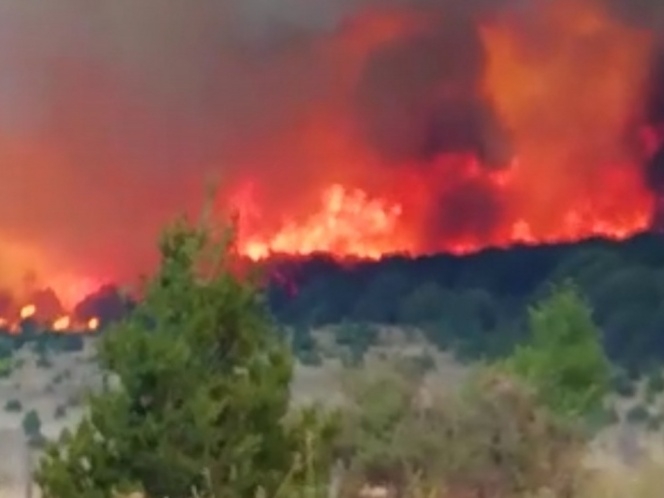 Arde la sierra de Arteaga