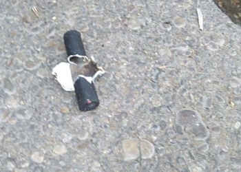 Se incrementan reportes de disparos en la ciudad