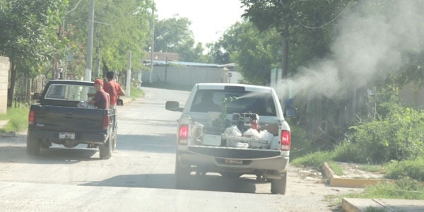 Fumigan colonias infestadas con garrapatas