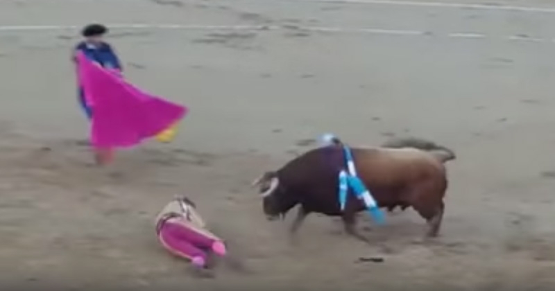 Toro le arranca cuero cabelludo a torero