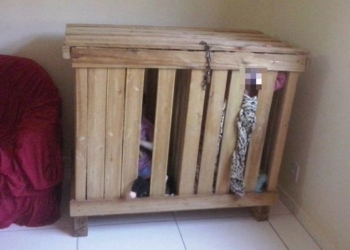Encuentran a dos gemelos de tres años encerrados en una jaula de madera