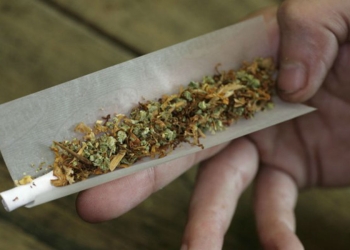 Legalización de marihuana disminuirá la lucha entre narcotraficantes