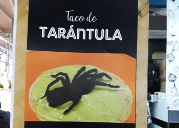 ¿Qué tal un taquito de tarántula?