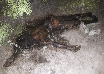 Encuentran cadáver de un hombre en estado de descomposición