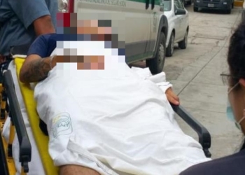 Perro Pitbull muerde a sujeto en los genitales