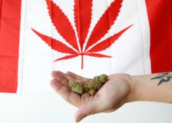Importará Canadá mariguana de Colombia para su mercado lúdico