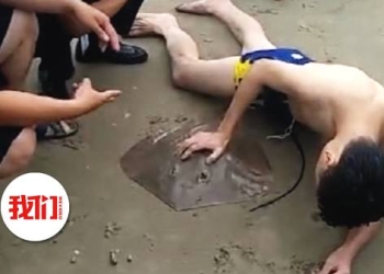 Joven entra al mar y sale con mantarraya colgando de sus genitales