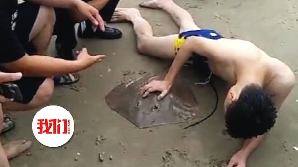 Joven entra al mar y sale con mantarraya colgando de sus genitales