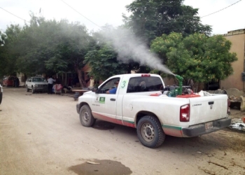 Detectan primer caso de Dengue en la ciudad