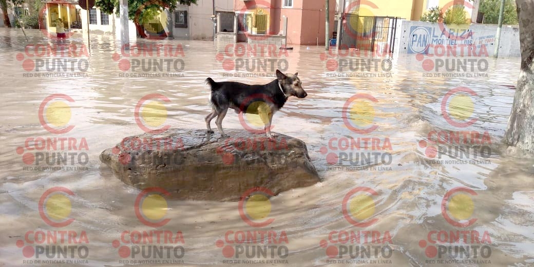 SEDENA implementa el Plan DN-III ante emergencia en Piedras Negras