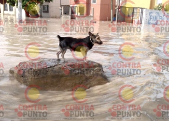 SEDENA implementa el Plan DN-III ante emergencia en Piedras Negras