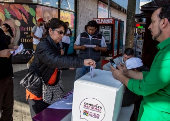 Votos duplicados en consulta del NAIM no afectarán resultado: Fundación Rosenblueth