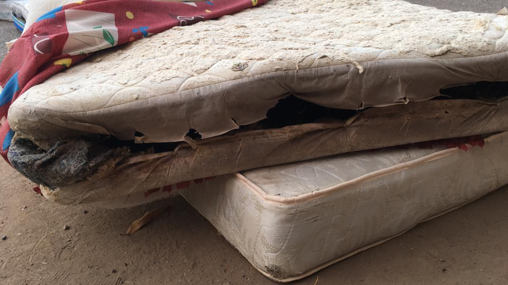 Entregan colchones podridos a familias damnificadas de Sinaloa