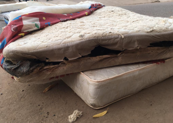 Entregan colchones podridos a familias damnificadas de Sinaloa