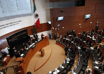 Apoya Senado idea para despenalizar amapola y mariguana