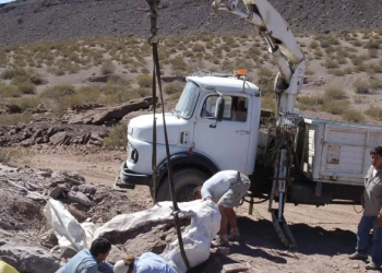 Encuentran restos de una nueva especie de dinosaurio