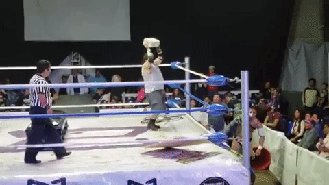 Golpean a luchador con un bloque en la cabeza
