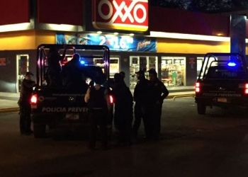 Detienen a presunto ladrón