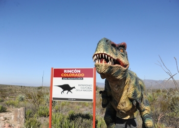 Abren en Coahuila la primera zona paleontológica de México “Rincón Colorado”