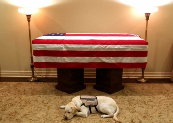 Trasladan cuerpo de Bush padre a Washington