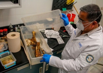 Peritos de Chihuahua aplican técnica de rehidratación para la identificación de restos