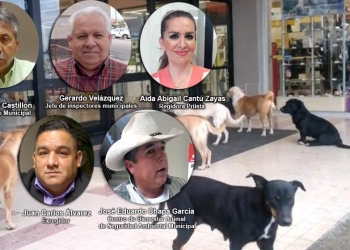 Califican como ocurrencia el reglamento de Protección Animal