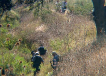 Al menos 18 personas asesinadas en Guanajuato, este martes
