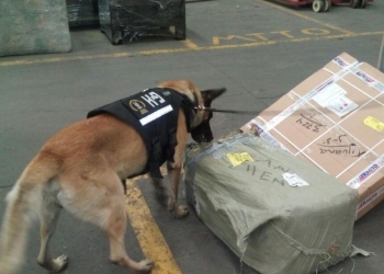 Coloca MARS primera piedra del cuartel militar en Jiménez