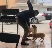 Chofer de Tráiler sigue detenido