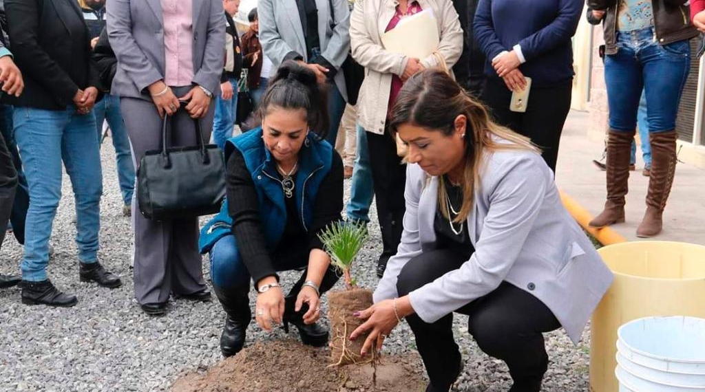 Programa de Oficina Verde implementado por la Secretaría de Medio Ambiente