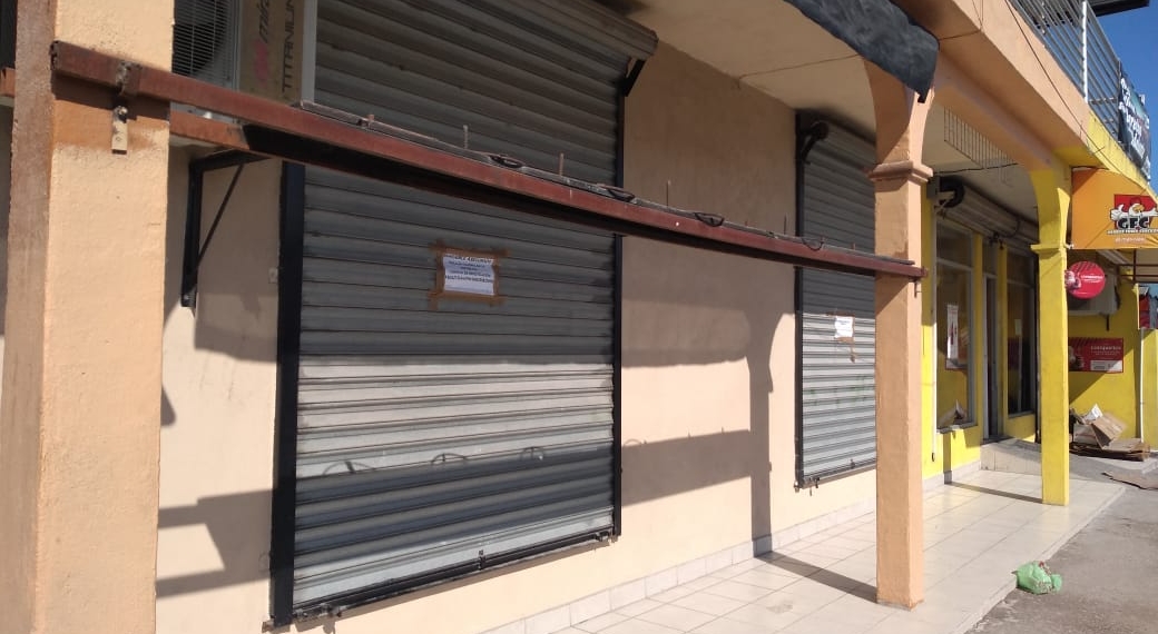 Operativo sorpresa a pulgueros