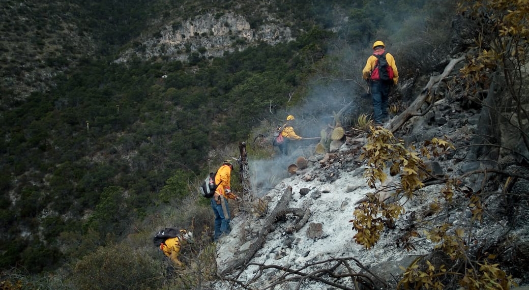 Controlan al 80% incendio forestal en Arteaga