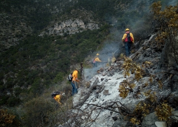 Controlan al 80% incendio forestal en Arteaga