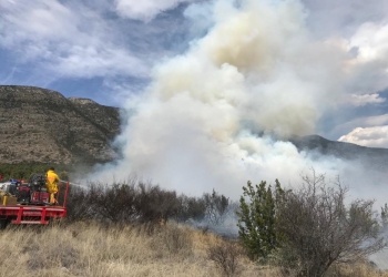 Combaten brigadistas de Coahuila incendio en ‘el diamante’