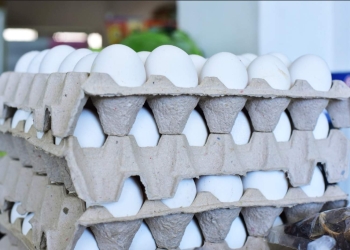 Huevo se cotiza en los 70 pesos