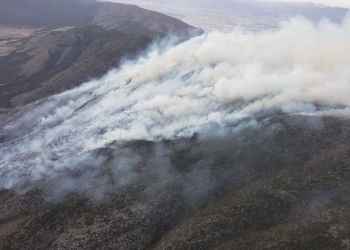 Controlado al 20% Incendio en Arteaga
