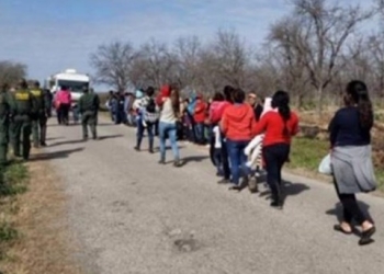 Capturan 140 hondureños en Estados Unidos