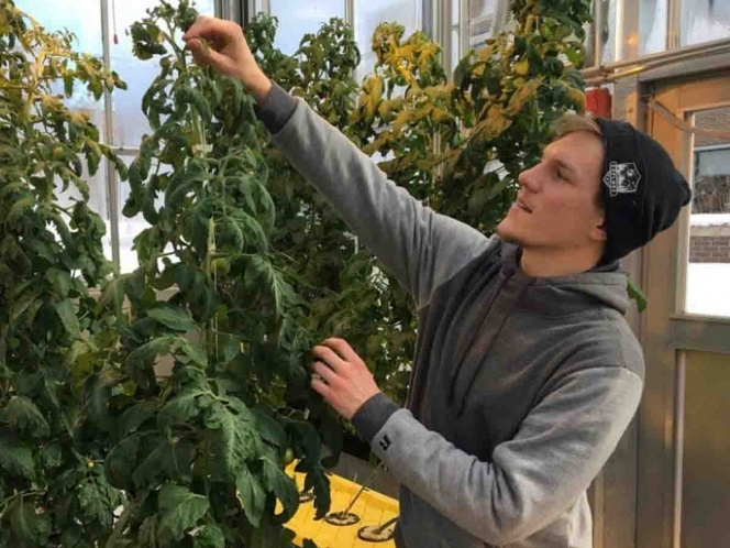 Universidades de EU ofrecen ‘licenciatura en mariguana’