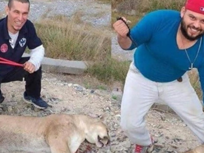 Matan a puma, Profepa hace denuncia penal