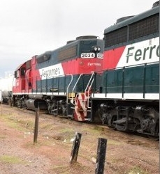 Se amputa pie y mano al caer del tren