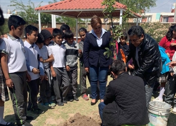 Realizan la primera reforestación del Año