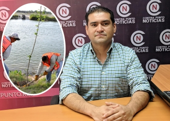 Solicitan incluir campañas de reforestación en la ciudad