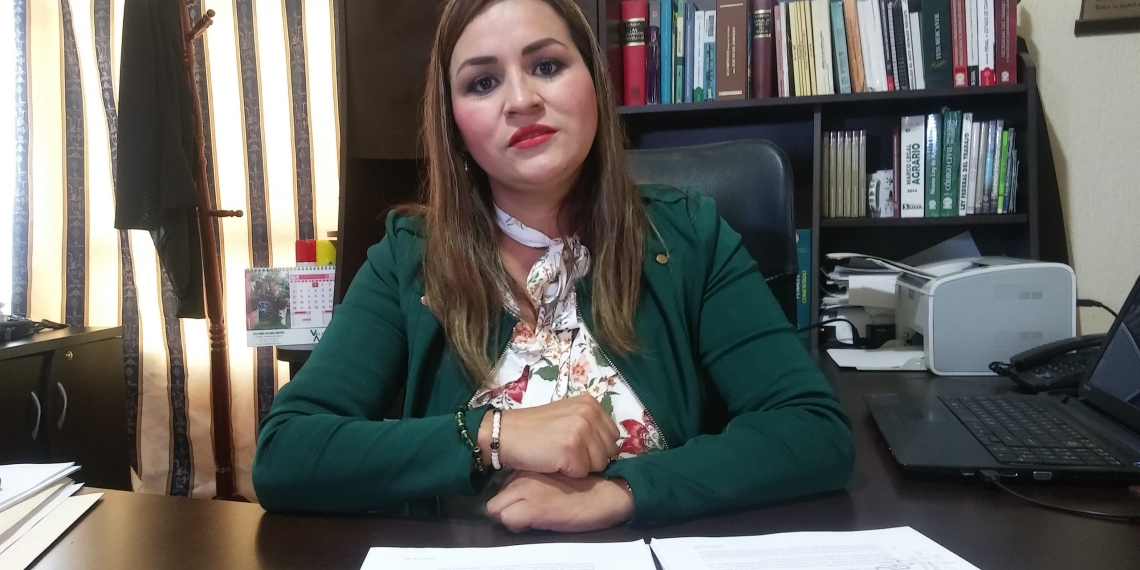 Pide acción penal contra nuevos partidos políticos