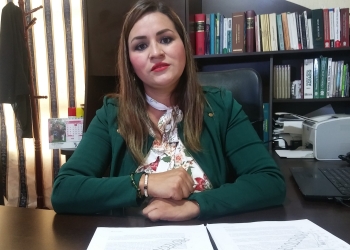 Pide acción penal contra nuevos partidos políticos